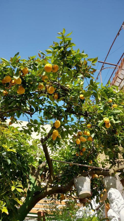 Appartamento La Follicara Anacapri  Zewnętrze zdjęcie