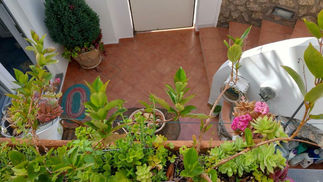 Appartamento La Follicara Anacapri  Zewnętrze zdjęcie